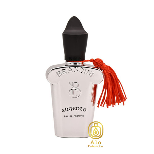 عطر جیبی آرجنتو برندینی حجم ۳۳ میل با رایحهای گرم و تلخ، مناسب خانمها و آقایان