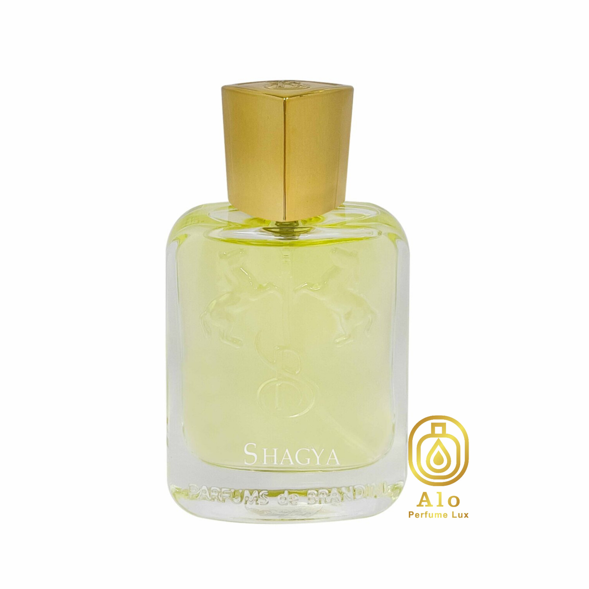 عطر جیبی مردانه برندینی شگیا 33 میل