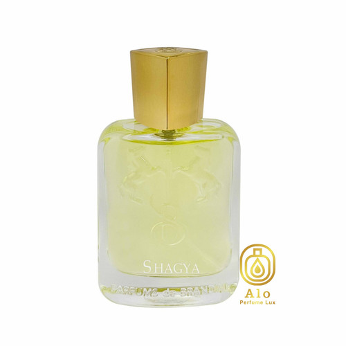 عطر جیبی مردانه برندینی شگیا 33 میل