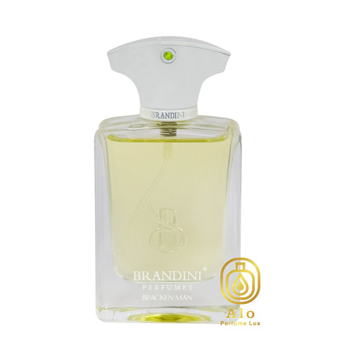 ادکلن جیبی مردانه برندینی مدل BRACKEN MAN حجم 33 میل