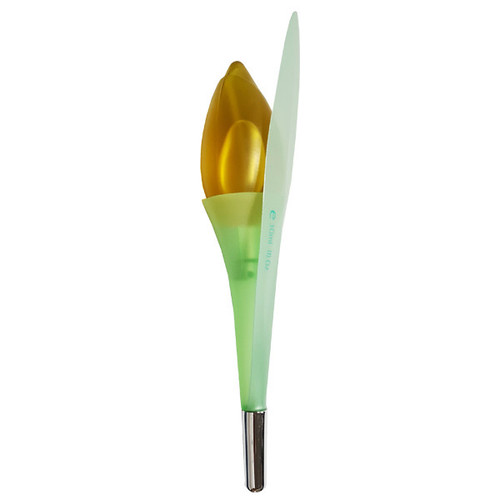 عطر جیبی زنانه رکسان مدل Grass حجم 30 میلی لیتر