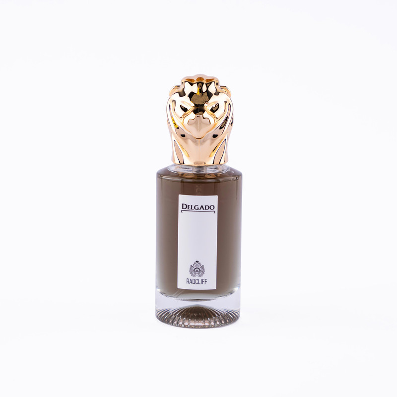 عطر جیبی مردانه دلگادو مدل رادکلیف با رایحه گرم حجم 25 میلیلیتر
