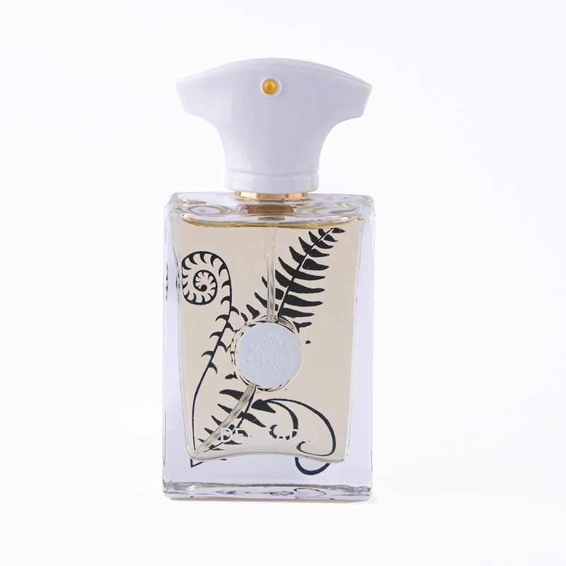 عطر جیبی دلگادو مدل براکن با رایحه تلخ حجم 25 میلی لیتر