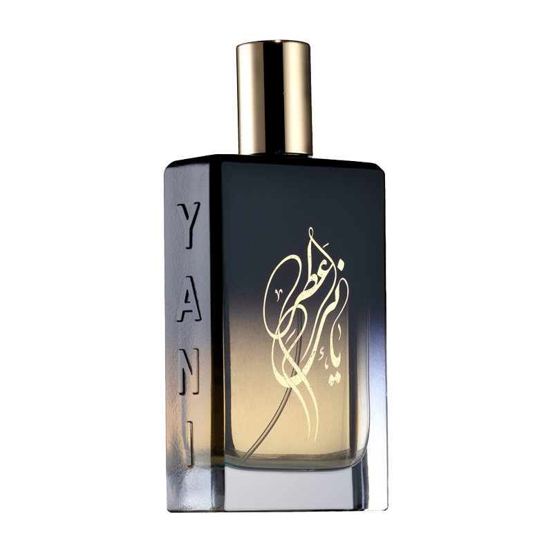 ادو پرفیوم عطر یانی مدل Silver Beach با رایحه گرم حجم 100 میلی لیتر