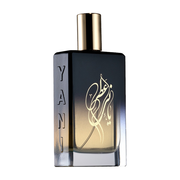 ادو پرفیوم عطر یانی مدل Silver Beach با رایحه گرم حجم 100 میلی لیتر