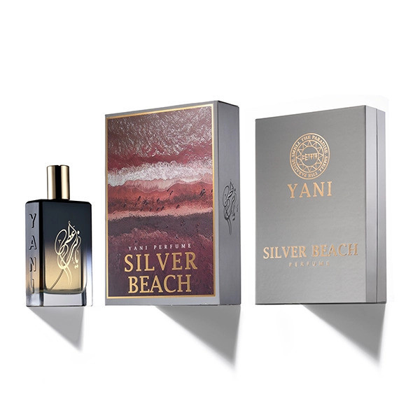 ادو پرفیوم عطر یانی مدل Silver Beach با رایحه گرم حجم 100 میلی لیتر