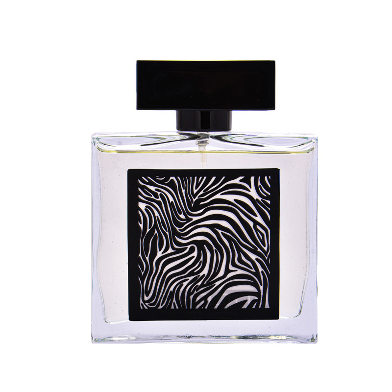 ادو پرفیوم مردانه فراگرنس ورد مدل Encrypt حجم 85 میلی لیتر