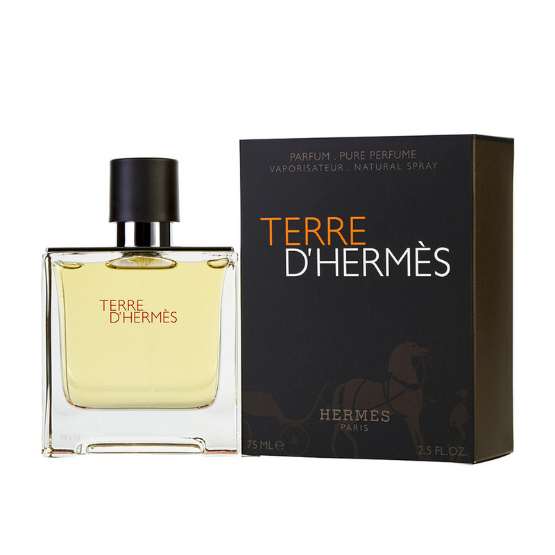 ادو تویلت مردانه هرمس مدل Terre D'Hermes حجم 100 میلی لیتر