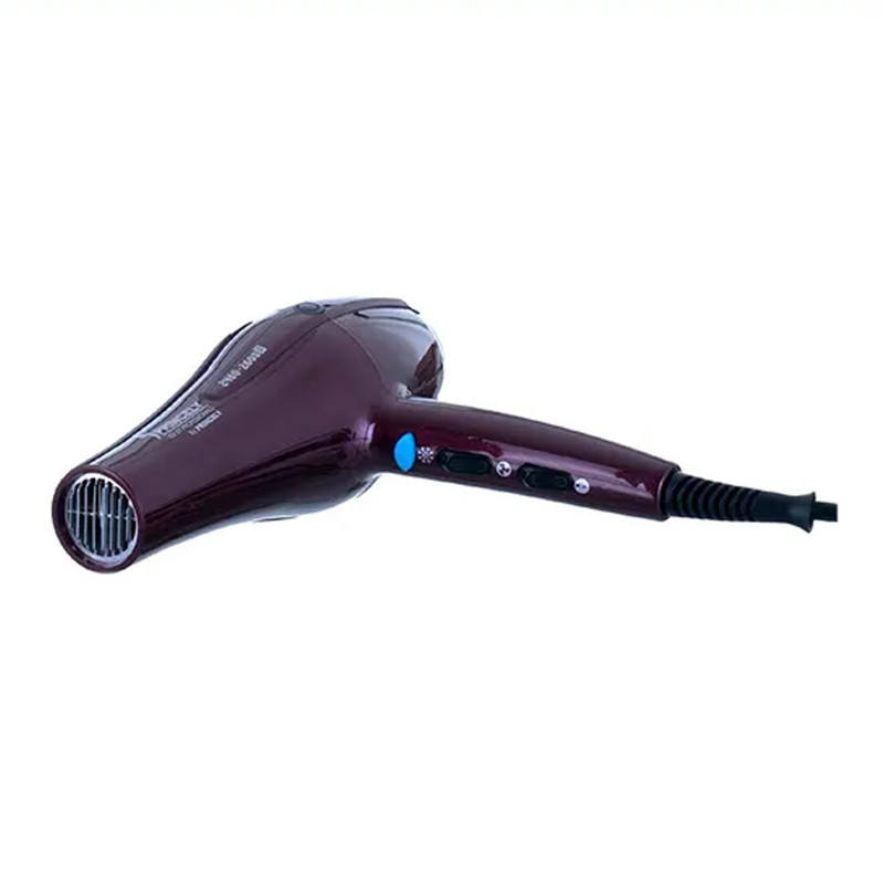 سشوار حرفهای 2400 وات پرینسلی مدل PR250AT، موتور AC، وزن 550 گرم، المنت فلز، دارای سری متمرکزکننده باریک، متمرکزکننده پهن با ویژگی صافکنندگی، حجمدهندگی با قابلیت باد سرد