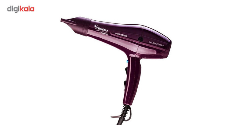 سشوار حرفه ای پرنسلی مدل PR250AT به همراه بافت مو پرنسلی مدل PR318AT