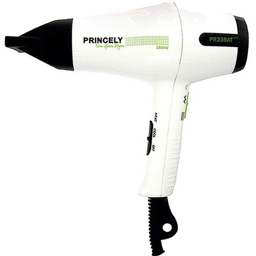 سشوار حرفه ای پرنسلی مدل PR237