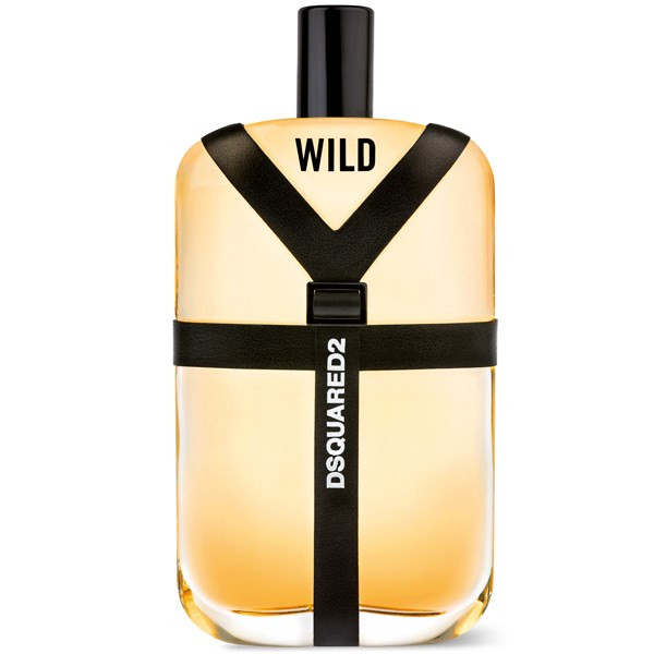 ادو تویلت مردانه دیسکوارد مدل Wild حجم 100 میلی لیتر