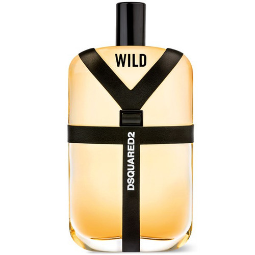 ادو تویلت مردانه دیسکوارد مدل Wild حجم 100 میلی لیتر