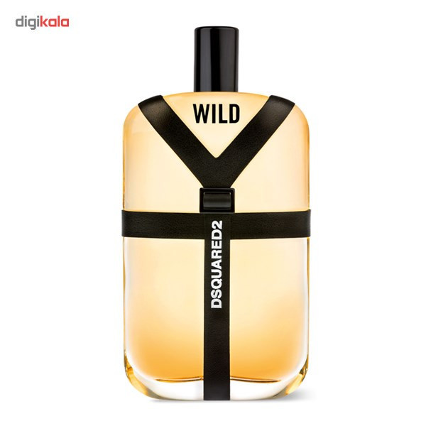 ادو تویلت مردانه دیسکوارد مدل Wild حجم 100 میلی لیتر