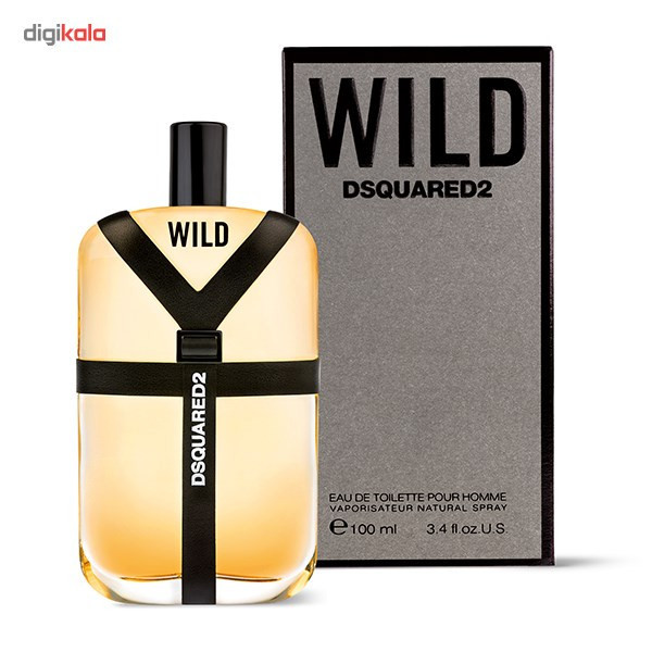 ادو تویلت مردانه دیسکوارد مدل Wild حجم 100 میلی لیتر