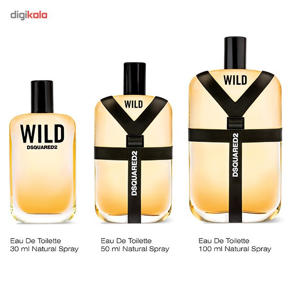 ادو تویلت مردانه دیسکوارد مدل Wild حجم 100 میلی لیتر