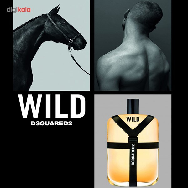 ادو تویلت مردانه دیسکوارد مدل Wild حجم 100 میلی لیتر