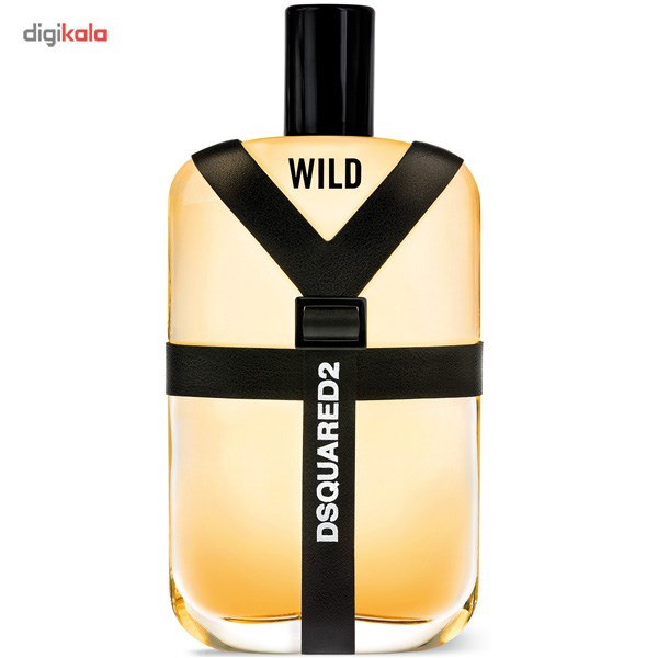 ادو تویلت مردانه دیسکوارد مدل Wild حجم 50 میلی لیتر