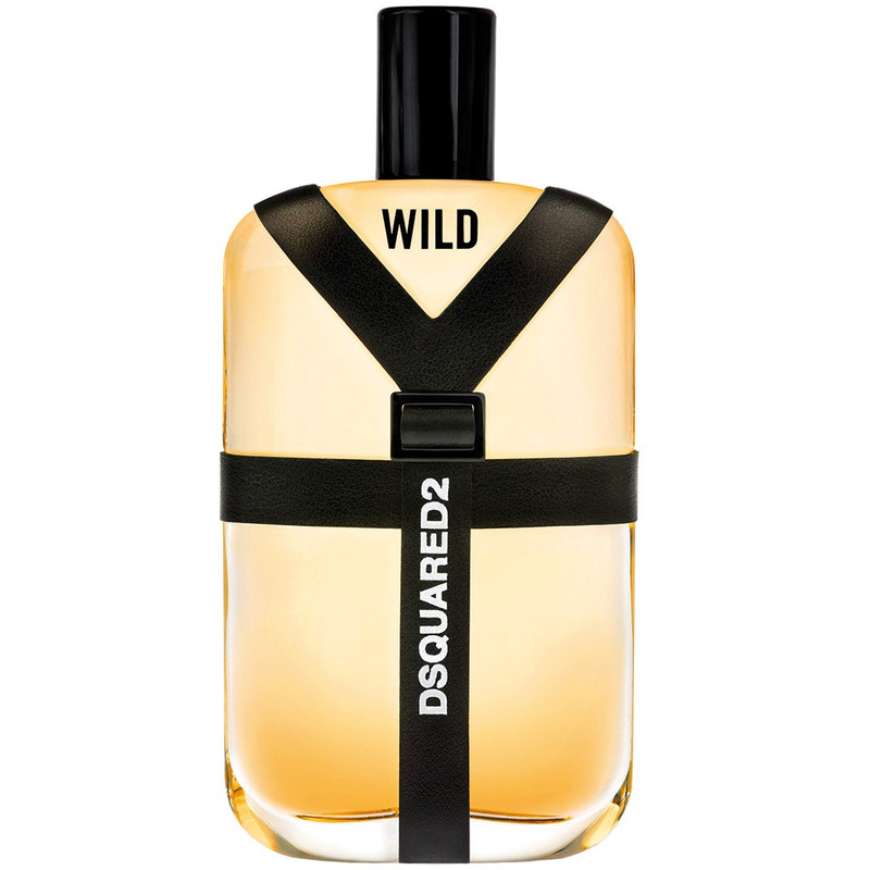 ادو تویلت مردانه دیسکوارد مدل Wild حجم 50 میلی لیتر