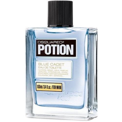 ادو تویلت مردانه دیسکوارد مدل Potion Blue Cadet Edt حجم 100 میلی لیتر