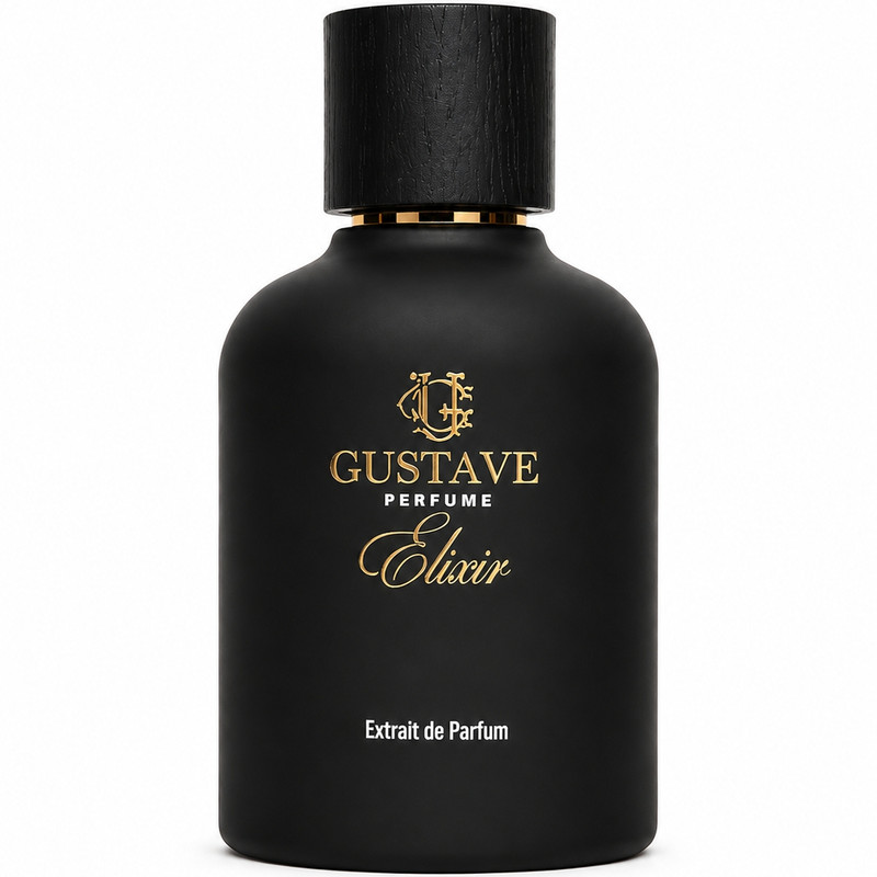 اکستریت د پرفیوم مردانه گوستاو مدل gustave elixir با رایحه گرم حجم 100 میلی لیتر