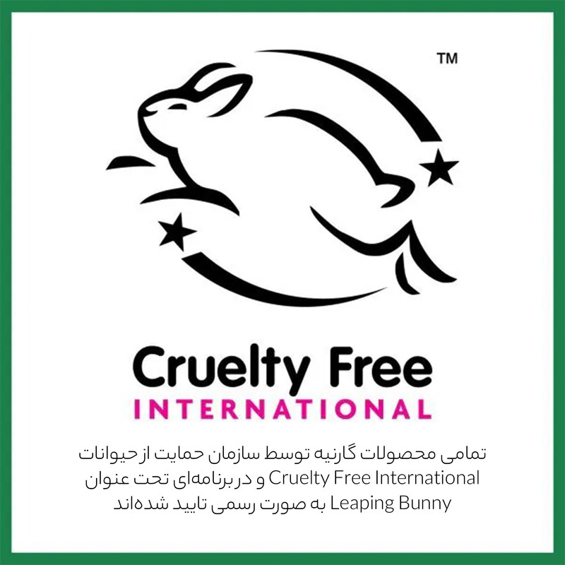 ژل شستشو صورت گارنیه مدل Skin Active حجم 200 میلی لیتر