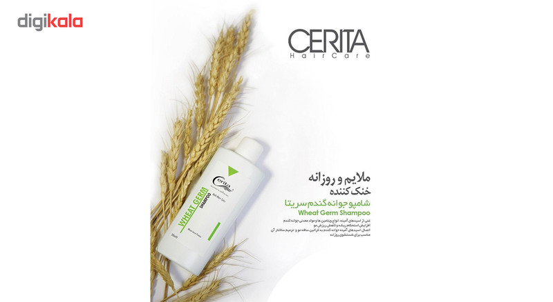 پک شامپو فوم کاشت مو و شامپو جوانه گندم سریتا مدل Hair با حجم 150 و 200 میلیلیتر، ضد ریزش، تقویتکننده، ترمیمکننده، افزایش استحکام و حجم مو، حاوی عصاره گزنه، نعناع فلفلی، رزماری و مریم گلی، مناسب انواع مو، خانمها و آقایان