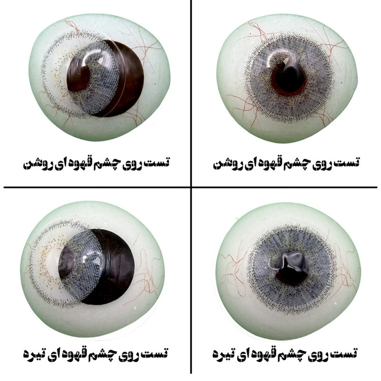 لنز چشم هرا گریس تمیم کانتکت لنز مدل ALASKA کد 13 رنگ طوسی یخی دوردار
