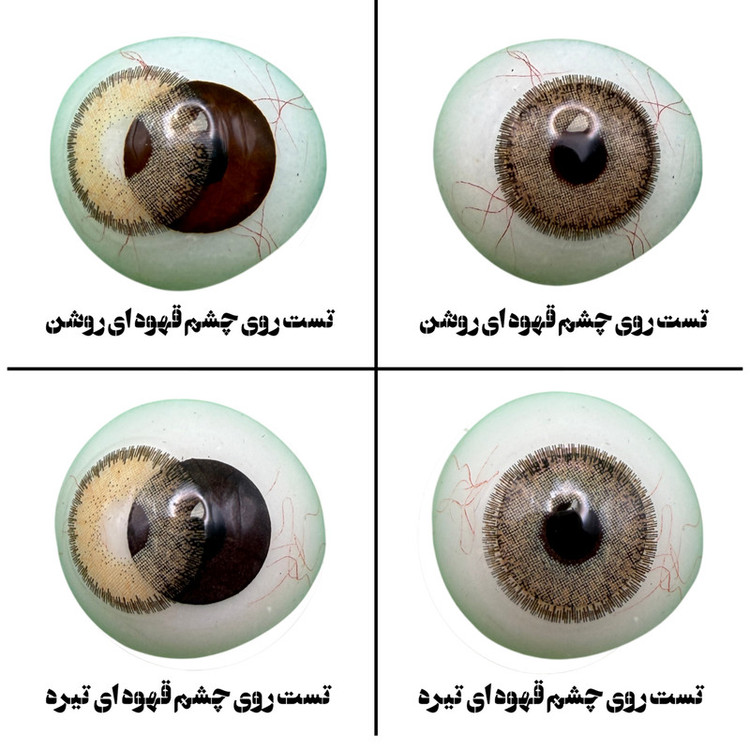 لنز چشم هرا گریس تمیم کانتکت لنز مدل DIVA HAZEL کد 17 رنگ عسلی دوردار