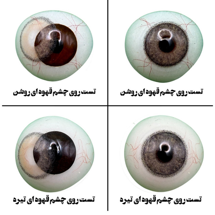 لنز چشم هرا گریس تمیم کانتکت لنز مدل LATIN کد 41 رنگ میکس قهوه ای طوسی دور دار