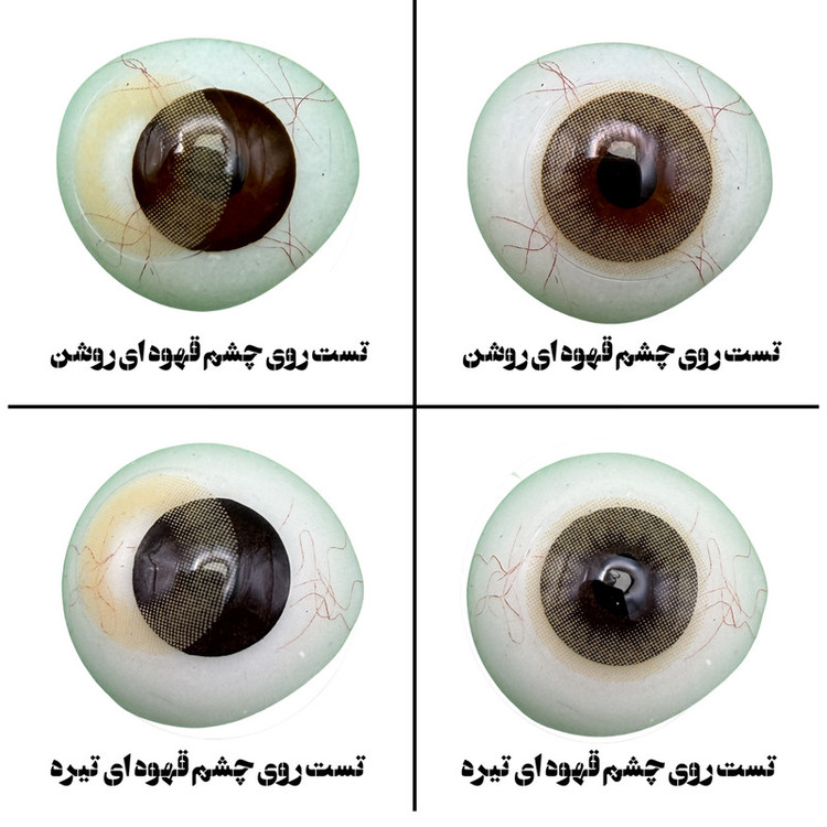 لنز چشم هرا گریس تمیم کانتکت لنز مدل DESIRE کد 38 رنگ عسلی روشن بدون دور