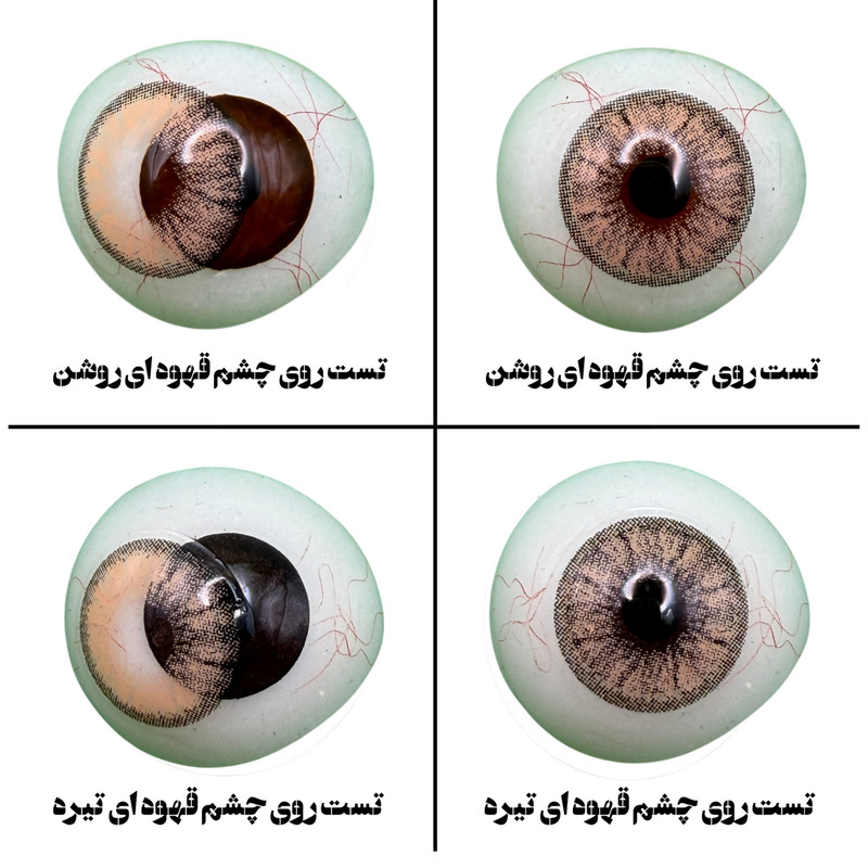 لنز چشم هرا گریس تمیم کانتکت لنز مدل BELEZA BRWON کد 33 رنگ عسلی فندقی دوردار