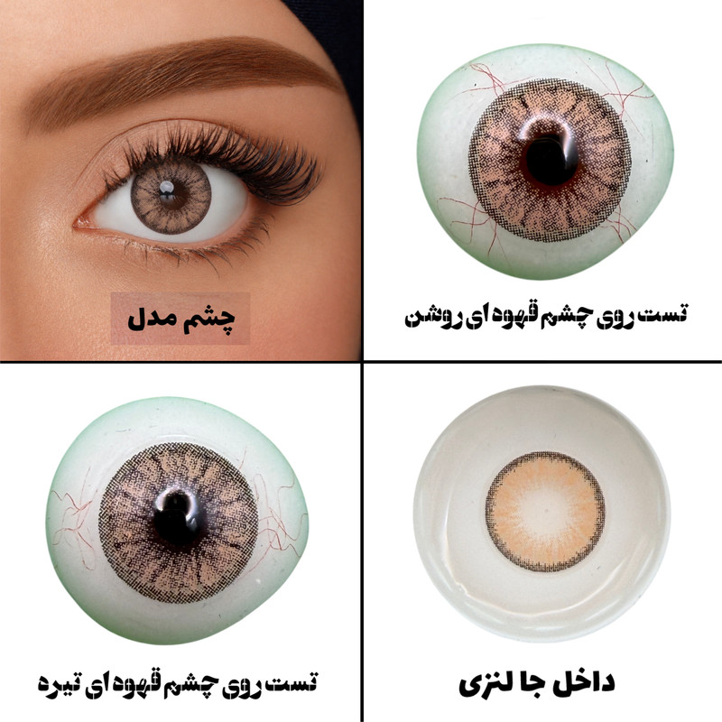 لنز چشم هرا گریس تمیم کانتکت لنز مدل BELEZA BRWON کد 33 رنگ عسلی فندقی دوردار