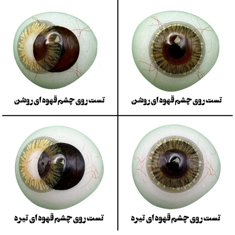 لنز چشم هرا گریس تمیم کانتکت لنز مدل MAROON کد 16 رنگ سبز عسلی رگه ای دوردار