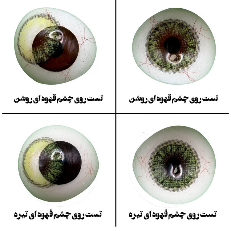 لنز چشم هرا گریس تمیم کانتکت لنز مدل LUMINUS GREEN کد 19 رنگ سبز رگه ای دوردار