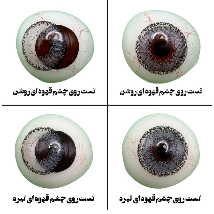 لنز چشم هرا گریس تمیم کانتکت لنز کد 05 رنگ طوسی دور دار