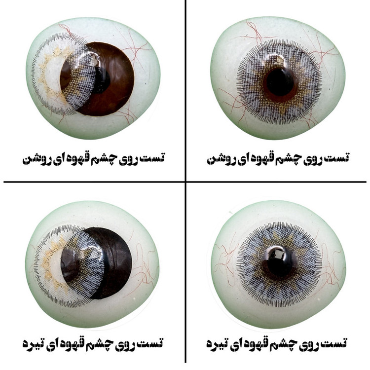 لنز چشم هرا گریس تمیم کانتکت لنز مدل SHADOW کد 36 رنگ طوسی با مرکز عسلی دور دار