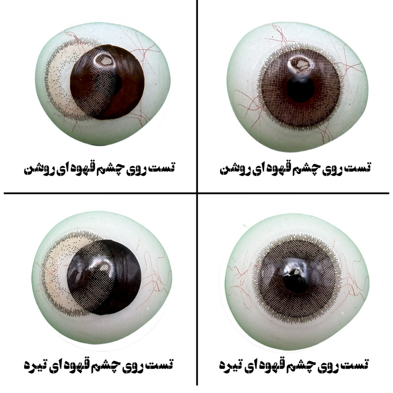 لنز چشم هرا گریس تمیم کانتکت لنز مدل COCO کد 34 رنگ قهوه ای طبیعی دوردار