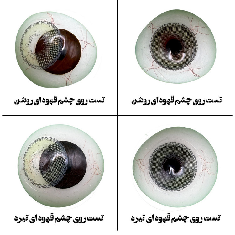 لنز چشم هرا گریس تمیم کانتکت لنز مدل KITTY کد 18 رنگ سبز طبیعی دوردار
