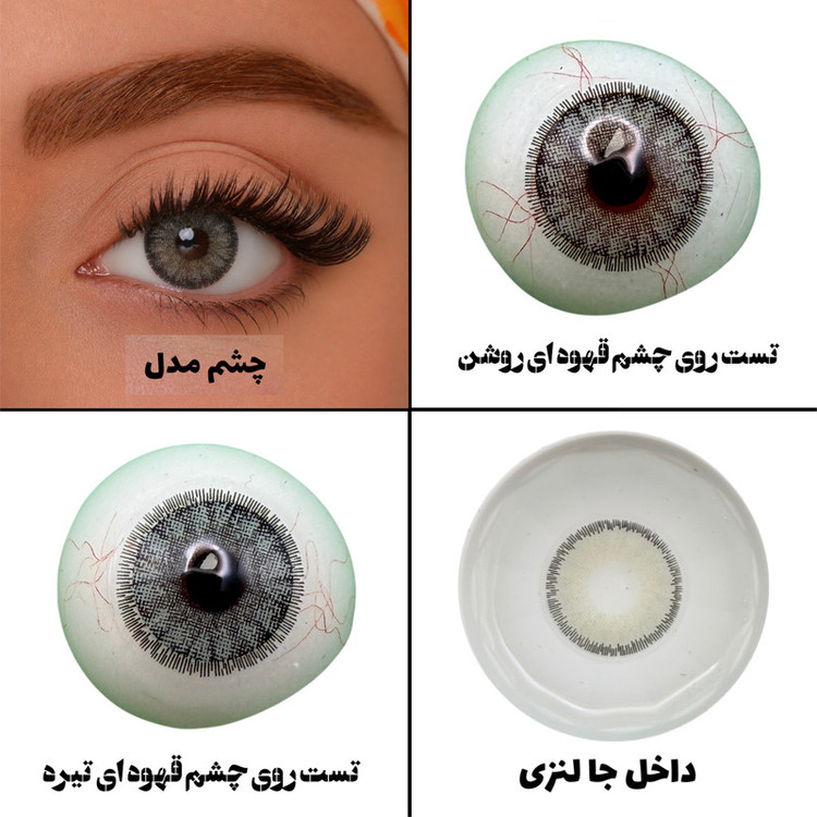 لنز چشم هرا گریس تمیم کانتکت لنز مدل LATIN GRAY کد 25 رنگ سبزعسلی دوردار