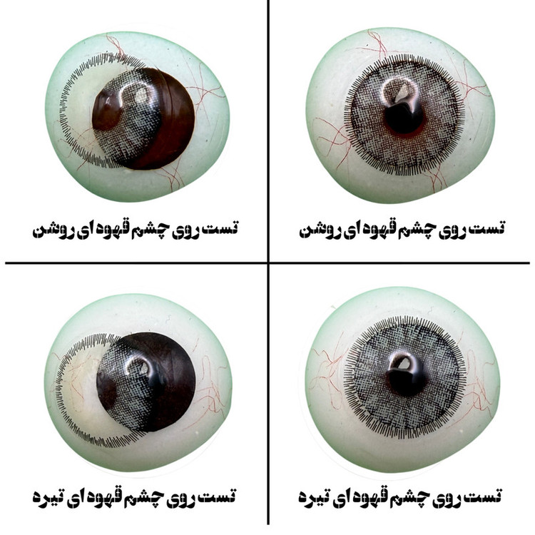 لنز چشم هرا گریس تمیم کانتکت لنز مدل LATIN GRAY کد 25 رنگ سبزعسلی دوردار