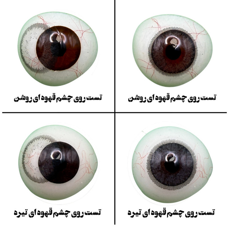 لنز چشم هرا گریس تمیم کانتکت لنز مدل PRL کد07 رنگ طوسی بنفش دوردار