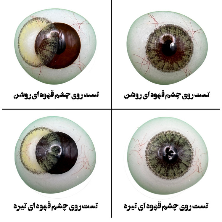 لنز چشم هرا گریس تمیم کانتکت لنز مدل BRIGHT LEMON کد 20 رنگ سبزعسلی دوردار