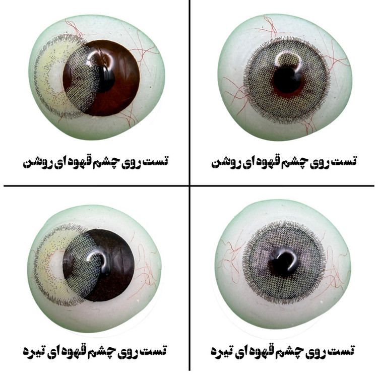 لنز چشم هرا گریس تمیم کانتکت لنز مدل GREEN JADE کد 31 رنگ سبز دوردار