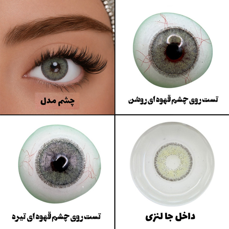 لنز چشم هرا گریس تمیم کانتکت لنز مدل GREEN JADE کد 31 رنگ سبز دوردار