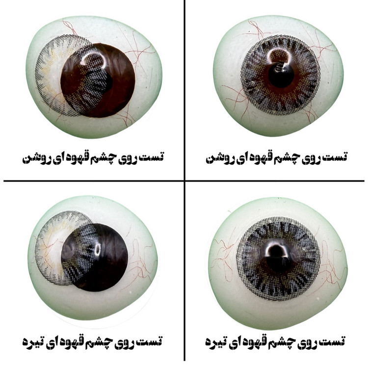 لنز چشم هرا گریس تمیم کانتکت لنز مدل STERLING کد 11 رنگ طوسی عسلی دوردار