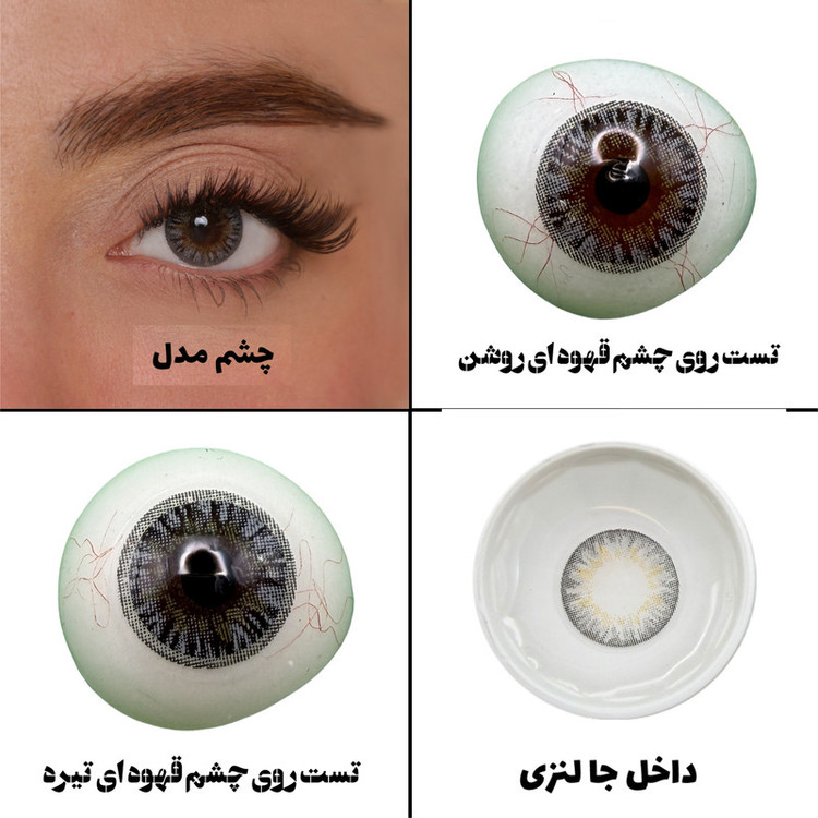 لنز چشم هرا گریس تمیم کانتکت لنز مدل STERLING کد 11 رنگ طوسی عسلی دوردار