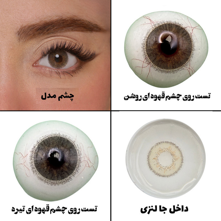 لنز چشم هرا گریس تمیم کانتکت لنز مدل PERLE کد 26 رنگ طوسی عسلی دوردار