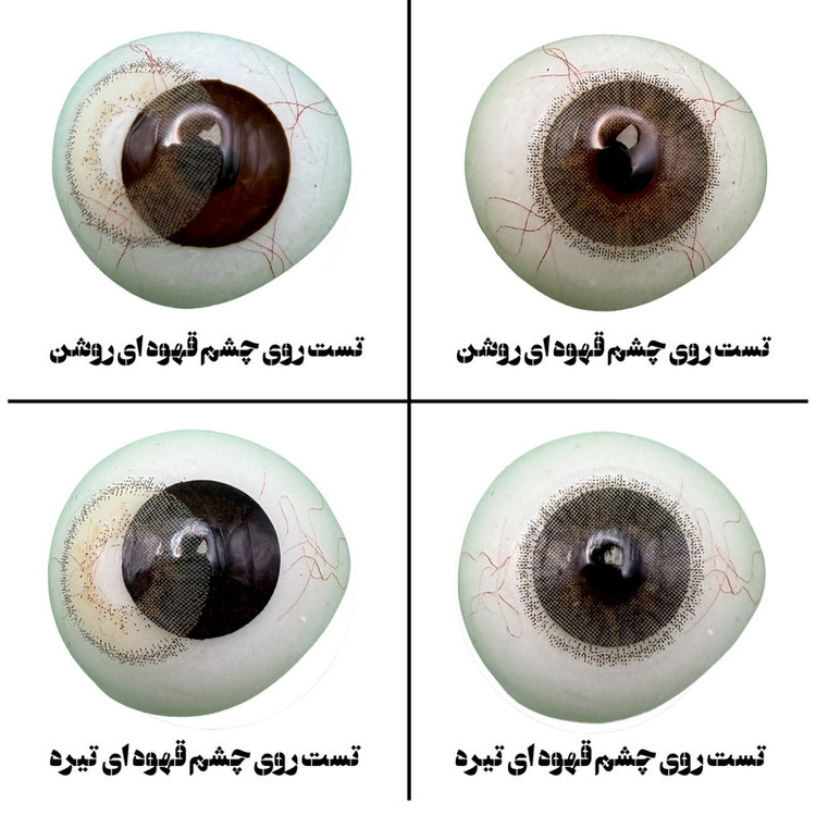 لنز چشم هرا گریس تمیم کانتکت لنز مدل PERLE کد 26 رنگ طوسی عسلی دوردار